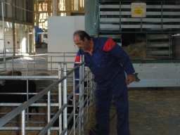 phoca_thumb_l_noviembre 046